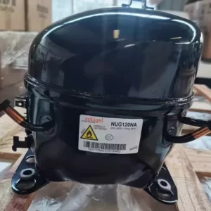 import placeholder for 12479553